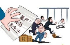 家用食品檢測儀給食品安全帶來曙光