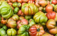食品添加劑檢測儀源頭廠家很重要